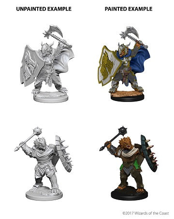 D&D Nolzur's Marvelous Miniatures: Dragonborn Paladin (Male)