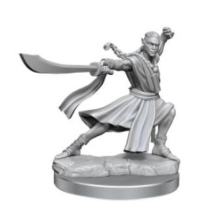 D&D Frameworks: Elf Monk (Male)