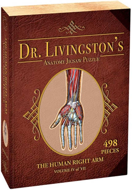 Dr. Livingston's Anatomy Puzzle: Human Right Arm