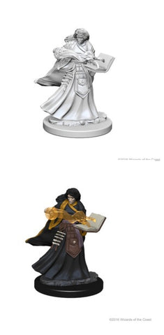 D&D Nolzur's Marvelous Miniatures: Gnome Wizard (Male)
