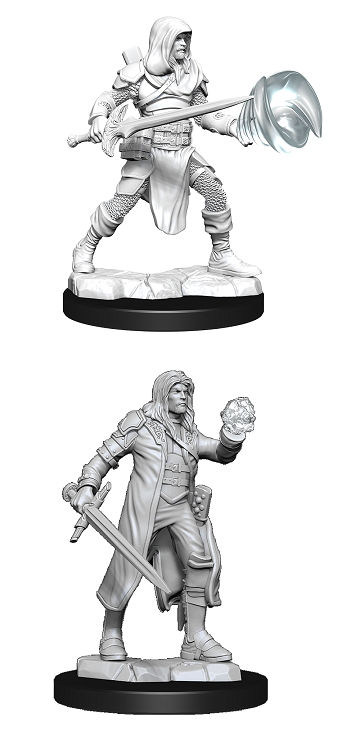 D&D Nolzur's Marvelous Miniatures: Fighter/Wizard