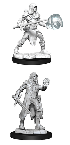D&D Nolzur's Marvelous Miniatures: Fighter/Wizard