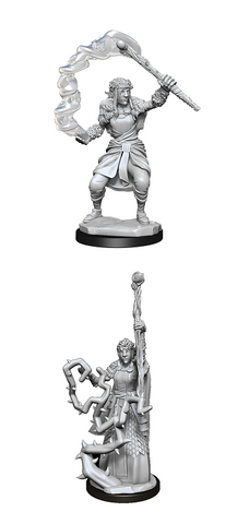 D&D Nolzur's Marvelous Miniatures: Firbolg Druid (Female)