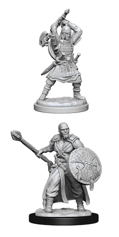 D&D Nolzur's Marvelous Miniatures: Human Barbarian (Male)