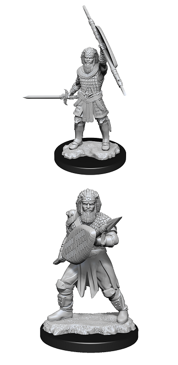 D&D Nolzur's Marvelous Miniatures: Human Fighter (Male)