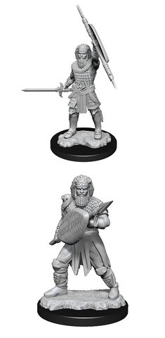 D&D Nolzur's Marvelous Miniatures: Human Fighter (Male)