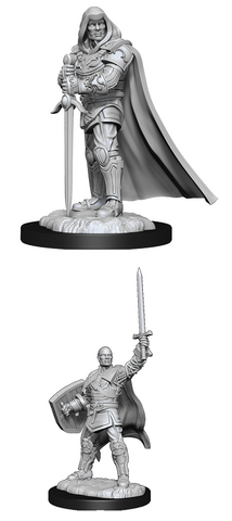 D&D Nolzur's Marvelous Miniatures: Human Paladin (Male)