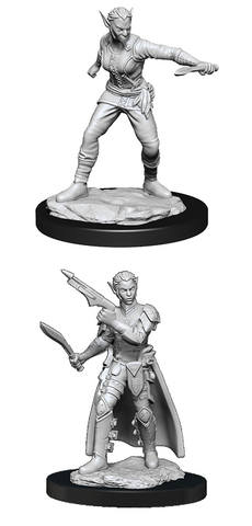 D&D Nolzur's Marvelous Miniatures: Shifter Rogue (Female)