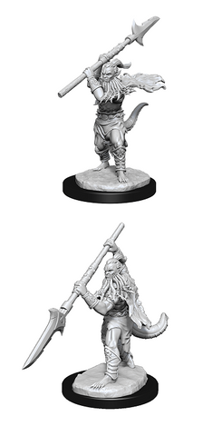 D&D Nolzur's Marvelous Miniatures: Bearded Devil