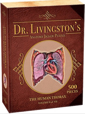 Dr. Livingston's Anatomy Puzzle: Human Thorax