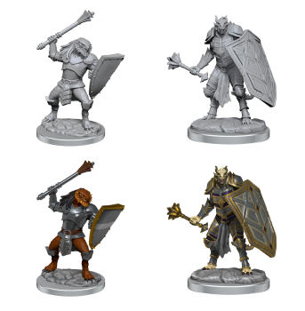 D&D Nolzur's Marvelous Miniatures: Dragonborn Clerics (male)