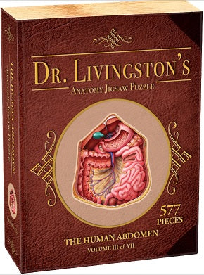 Dr. Livingston's Anatomy Puzzle: Human Abdomen