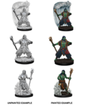 Nolzur's Marvelous Miniatures: Water Genasi Druid (Male)