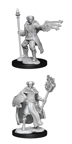 D&D Nolzur's Marvelous Miniatures: Cleric/Wizard (Male)