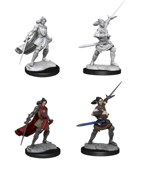 Critical Role Miniatures: Half-Elf Xhorhas Paladin