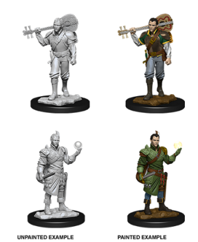 Nolzur's Marvelous Miniatures: Half-Elf Bard (Male)