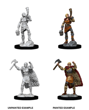 Nolzur's Marvelous Miniatures: Human Barbarian (Female)